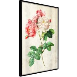 Arkiio Affisch Heavenly Rose [Poster] 40x60 Poster